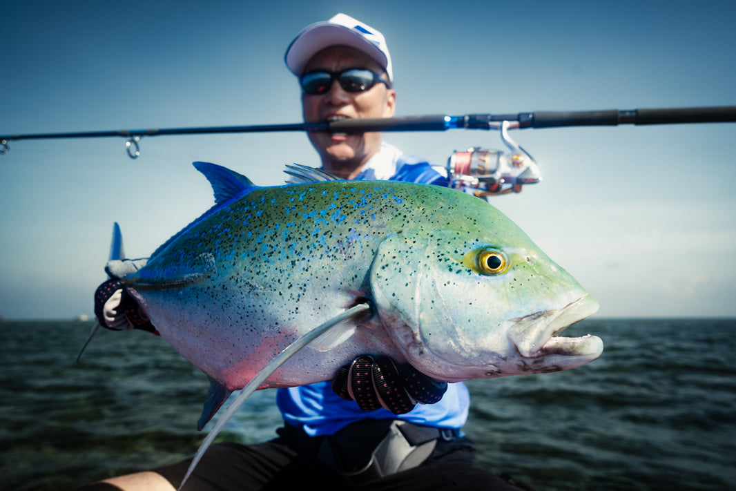 Lureleader Whale Wave Series | Jigging, Slow Jigging and Popping Rod Guide