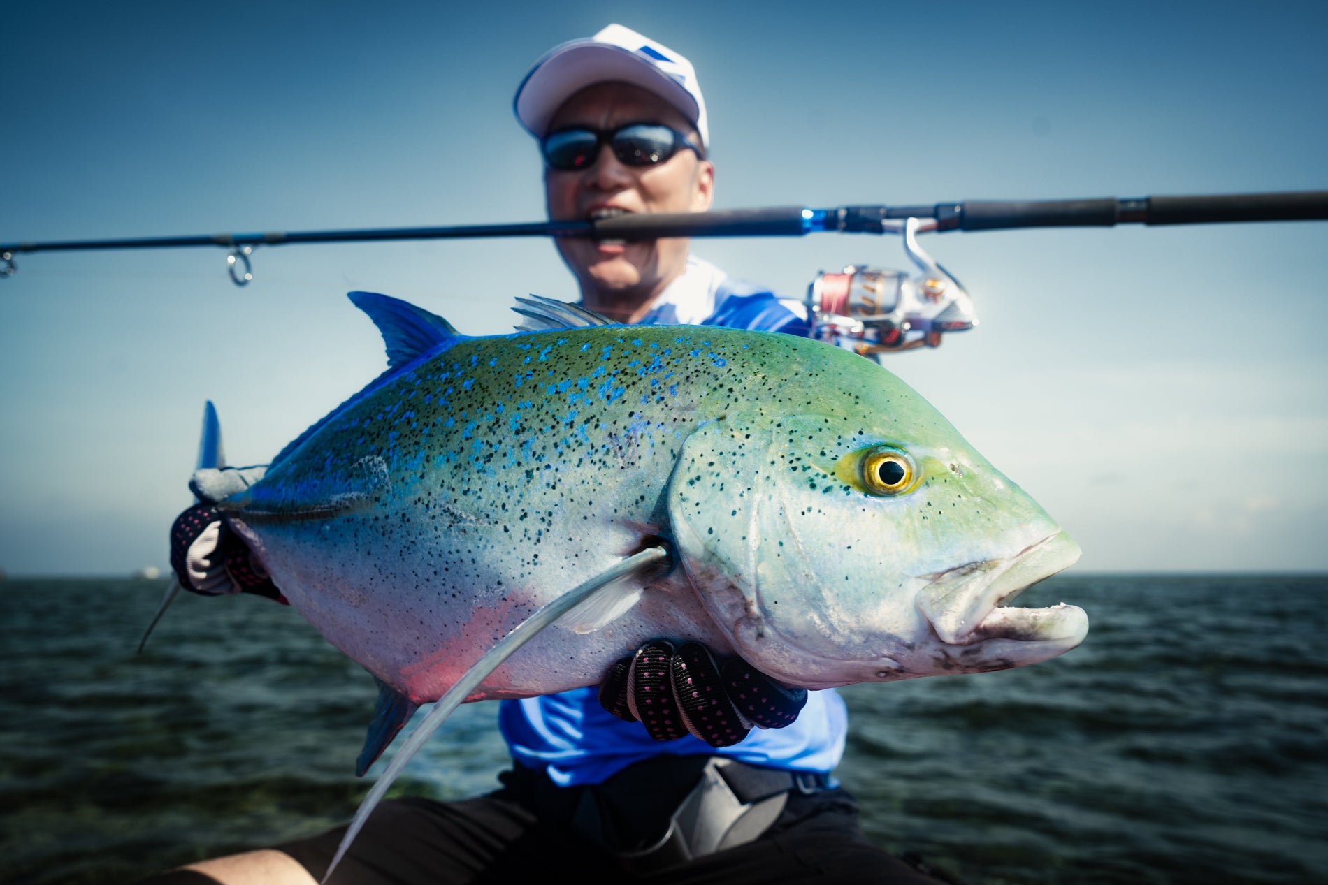 Lureleader Whale Wave Series | Jigging, Slow Jigging and Popping Rod Guide