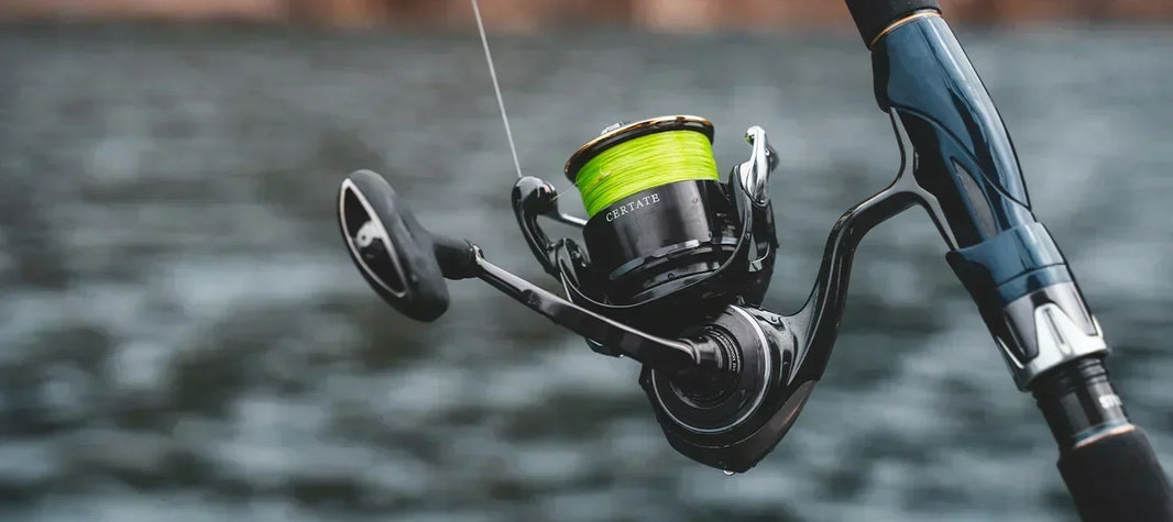 DAIWA 26 Certate | Built for Power, Smoothness and Saltwater Confidence