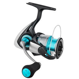 Daiwa Emeraldas eging spinning reel – product view