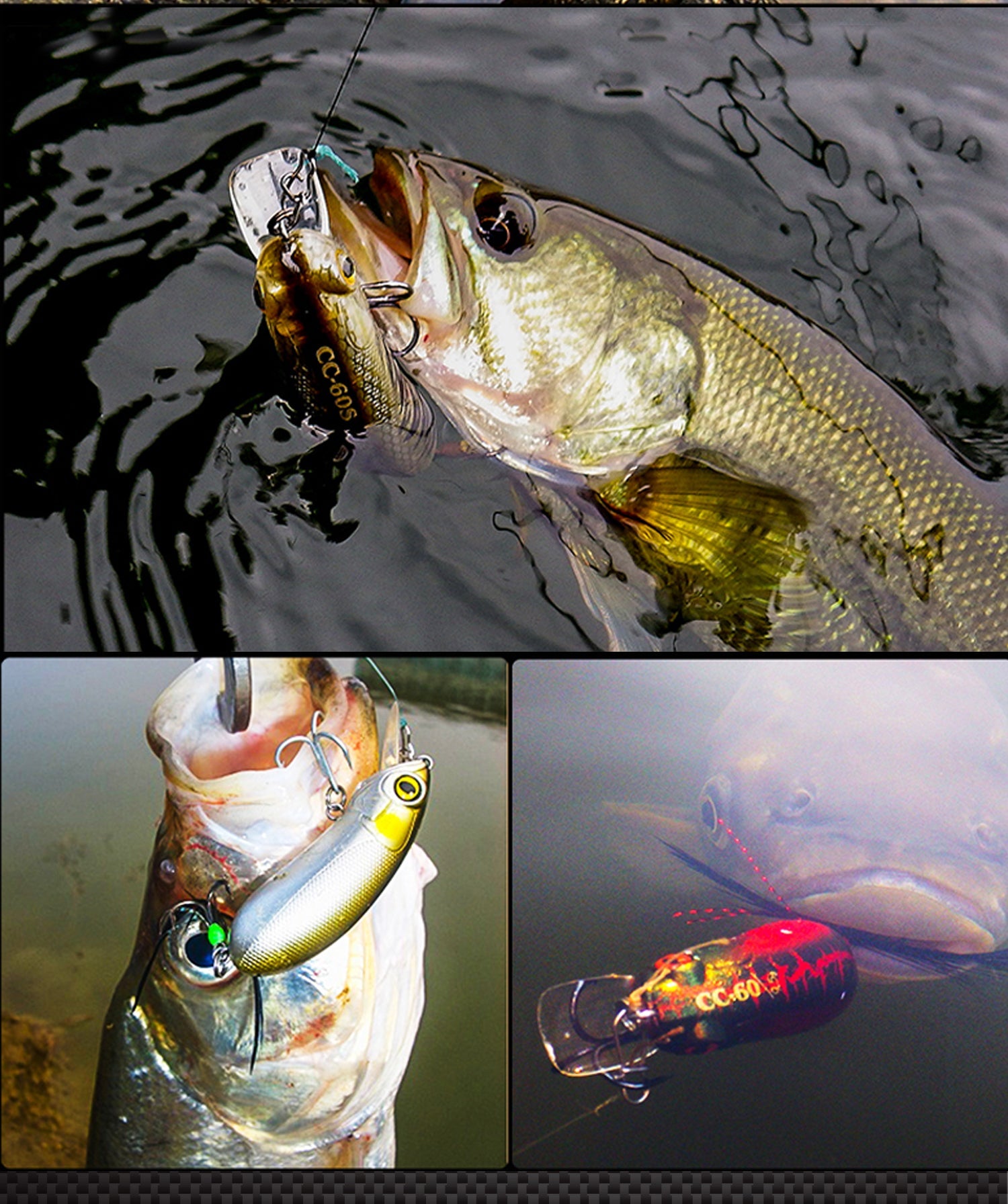 Lurefans CC60 fishing results