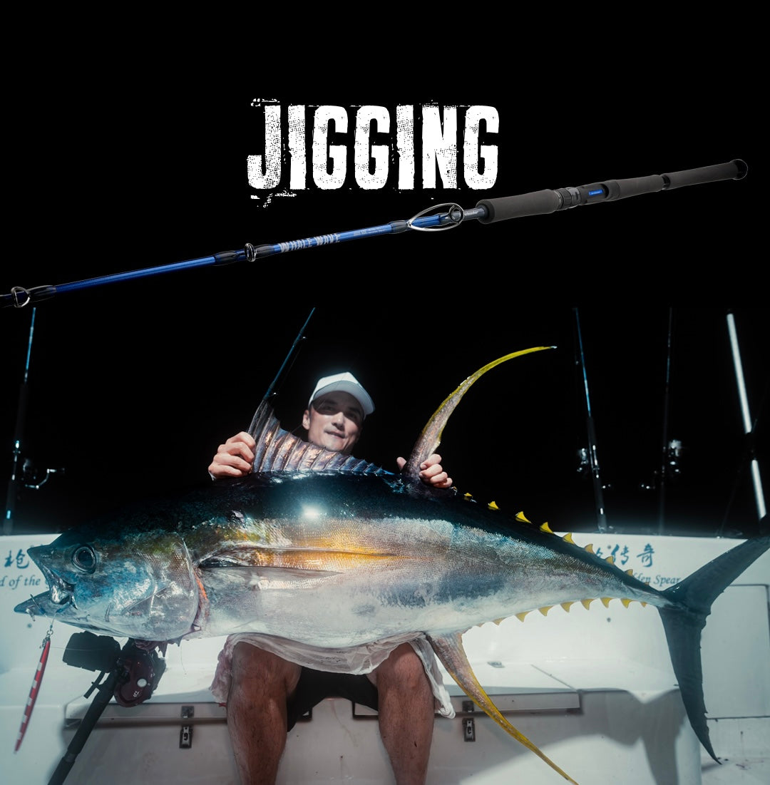 Lureleader 25 Whale Wave Jigging Rod