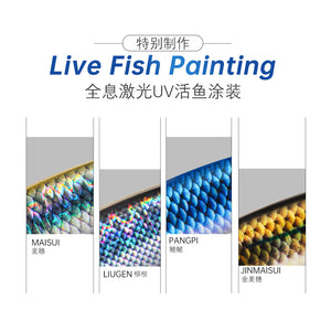 Lurefans EURUS 75 hardbody colour option
