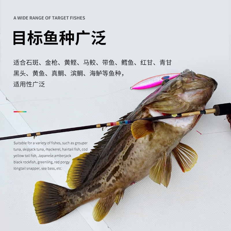 Ecooda GT-Fisher Rainbow RSJ Slow Jigging Rod