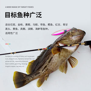 Ecooda GT-Fisher Rainbow RSJ Slow Jigging Rod