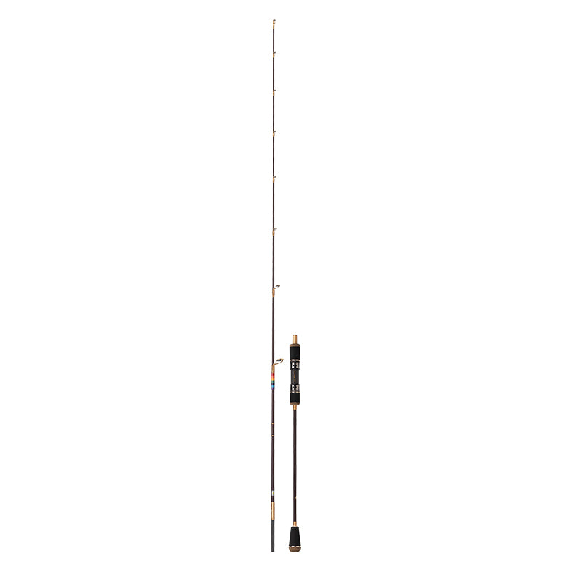 Ecooda GT-Fisher Rainbow RSJ Slow Jigging Rod