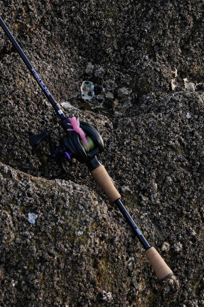 Lure Kingdom Worm Blade casting rod fishing scene