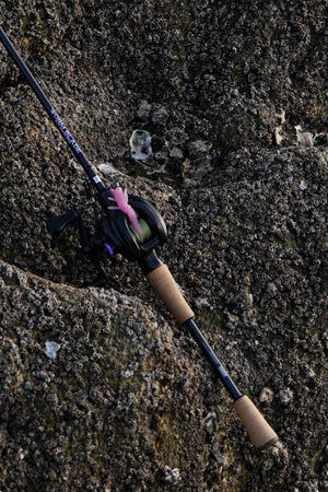 Lure Kingdom Worm Blade casting rod fishing scene