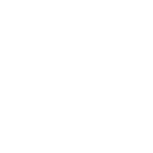 Wild Current