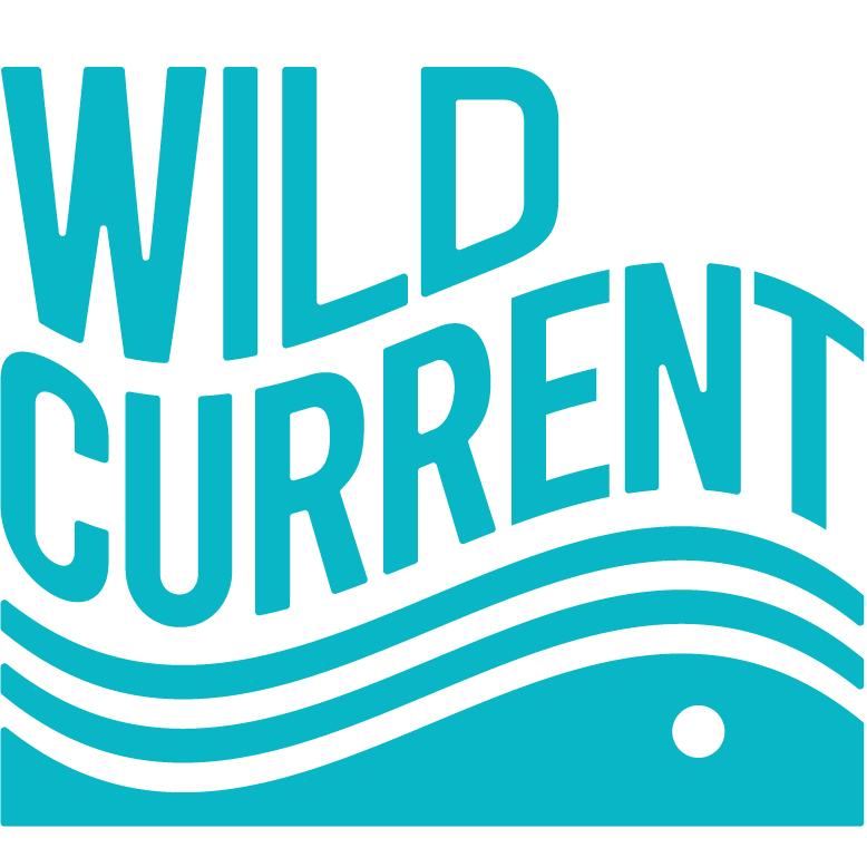 Wild Current
